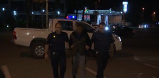 შსს-მ ქვემო ქართლში 38 ძროხის ქურდობის ბრალდებით 3 პირი დააკავა