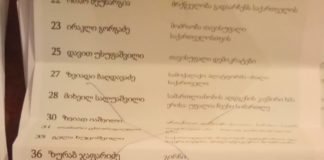 ჩემი კატა პრეზიდენტად–სახალისო ბიულეტენები (+ფოტო)