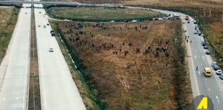 მასშტაბური გამწვანების აქცია რუსთავის შემოსასვლელში (+ვიდეო)