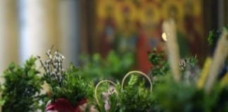 მართლმადიდებელი ეკლესია ბზობას აღნიშნავს