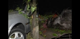 წყალდიდობა სოფელ ლემშვანიერაში (+ვიდეო)