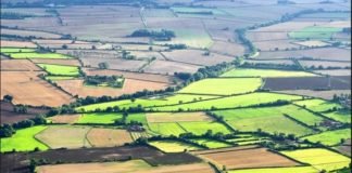 მიწის ნაკვეთებზე საკუთრების უფლების რეგისტრაციის პროცესი გახანგრძლივდა