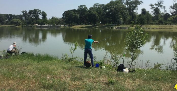 65156565_638446763319654_6985339564743196672_n