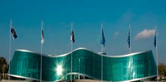 პოლიციამ იარაღის უკანონო შეძენა-შენახვის ბრალდებით 1 პირი დააკავა