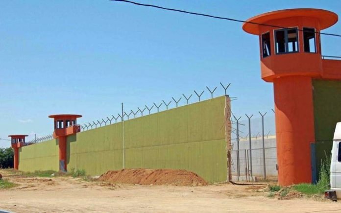 Nigrita-e1564233440331