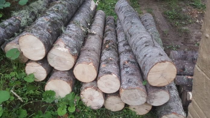 67824803_3176400482374348_1626467642132922368_n