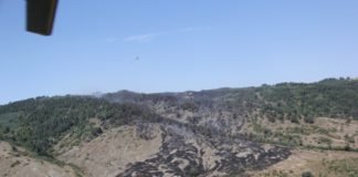 სოფელ საყავრეში ხანძარი ლოკალიზებულია (+ფოტო)