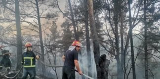 გორში ხანძრის ჩასაქრობად სასაზღვრო პოლიციის 2 ვერტმფრენი და სამი სამაშველო მანქანა მუშაობს(+ფოტო)