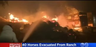 კალიფორნიაში ტყის ხანძრის შედეგად, მსხვერპლთა რიცხვი სამამდე გაიზარდა