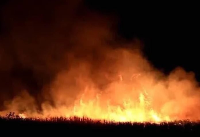 Screenshot_20191118-222827_Facebook