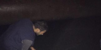 უკანონო თევზჭერის რამდენი ფაქტი დაფიქსირდა პირველი იანვრიდან დღემდე ?!