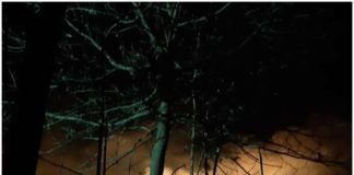 ოკუპირებულ აფხაზეთთან, სოფელ ფახულანში ტყის ხანძარი ჩააქრეს