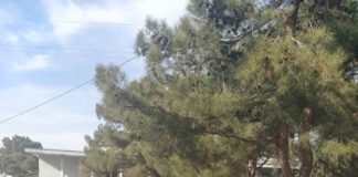 გარდაბანში “სოფლის მხარადამჭერი პროგრამის“ ფარგლებში მოსახლეობასთან შეხვედრები გრძელდება