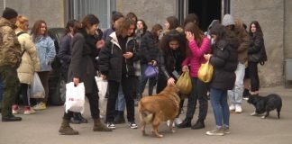 სკოლების თვითმმართველობის წევრები მიუსაფარი ძაღლების თავშესაფარს ესტუმრნენ