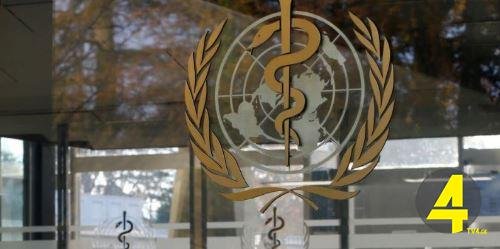 jandacvis msoflio organizacia