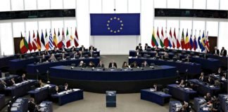 საქართველოს ოკუპირებულ ტერიტორიებზე არსებული სიტუაცია- ევროპარლამენტარების შეფასება