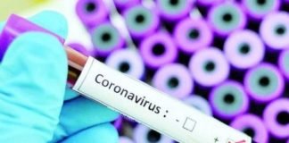 კორონავირუსი ეგვიპტეშიც დაფიქსირდა