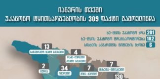 იანვარში ხე-ტყის უკანონო მოპოვებისა და ტრანსპორტირების 309 ფაქტი გამოავლინდა