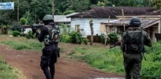 კამერუნში თავდასხმას 22 ადამიანი,მათ შორის 14 ბავშვი, ემსხვერპლა