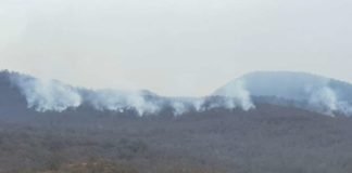 თელავში მესამე დღეა ხანძარი მძვინვარებს