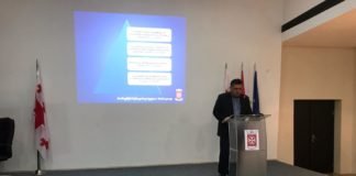 ბოლნისის მერმა 2019 წლის საქმიანობის ანგარიში წარადგინა