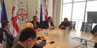 ჯანდაცვის სამინისტრომ ქვემო ქართლის რეგიონული სამმართველოს ახალი უფროსი წარადგინა