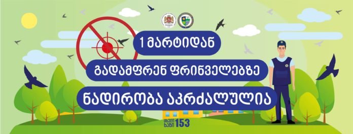 87852308_3658187530862305_7523564044276465664_o