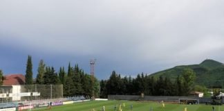 საფეხბურთი კლუბ “რუსთავის” დირექტორად იოსებ შველიძე დაინიშნა