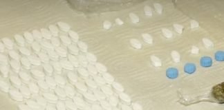 დიდი ოდენობით ნარკოტიკის შემოტანის ფაქტზე უცხოეთის მოქალაქე დააკავეს