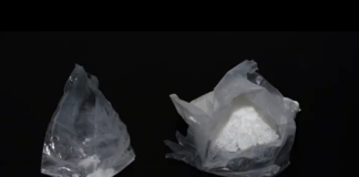 ნარკოდანაშაულისთვის უკრაინის მოქალაქე დააკავეს