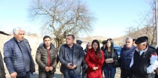 ბოლნისის მერი მოსახლეობას შეხვდა