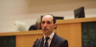 საკითხი რთულია და მოგვარებას წლები დასჭირდება-მინისტრი რუსთავში გარემოს დაბინძურებაზე