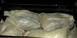 მანქანის კატალიზატორების ქურდობის ბრალდებით 3 პირი დავაკავეს