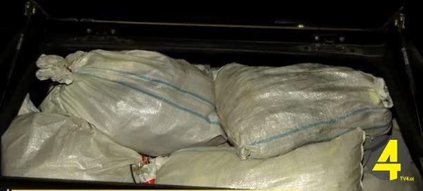 katalizatoriiiiiiiiiii