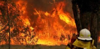 ხანძარი ავსტრალიაში -კანბერაში მცხოვრებლების ევაკუირება ვერ ხერხდება