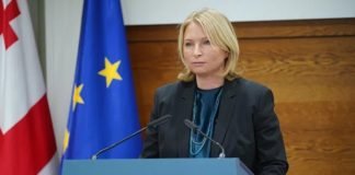 ტექინსპექტირების ცენტრების საქმიანობა წესების დაცვით გაგრძელდება