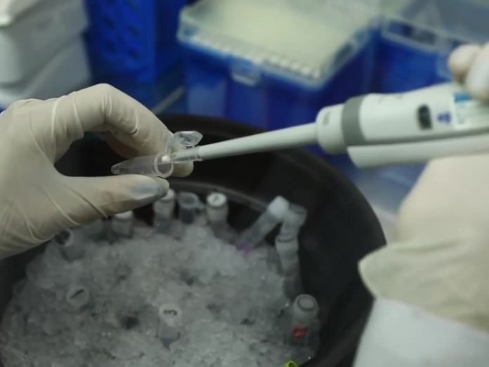 კორონავირუსი