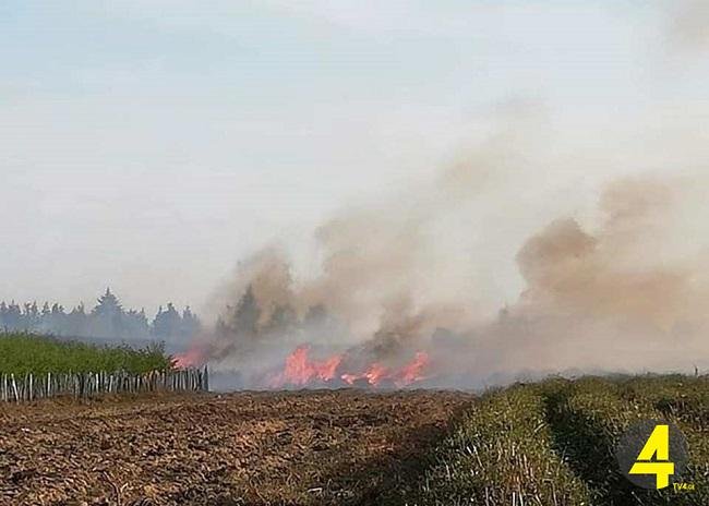 1585321184-ხანძარი7