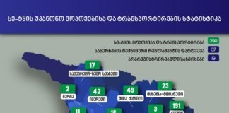 ხე-ტყის უკანონო მოპოვებისა და ტრანსპორტირების 390 ფაქტი გამოვლინდა