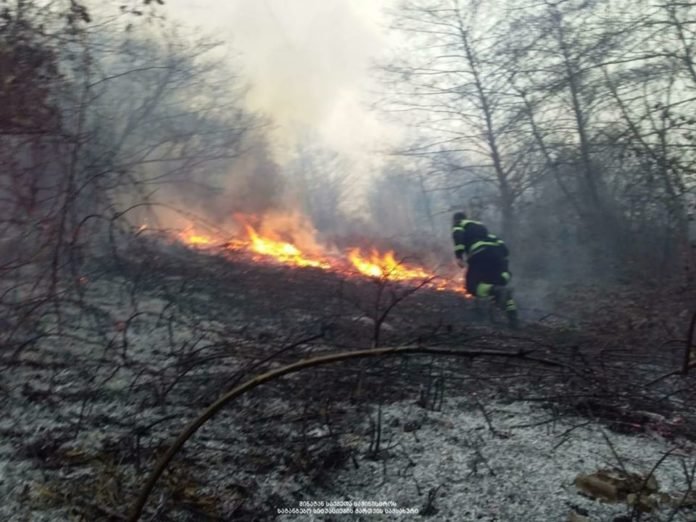 88194286_2255199504784269_2023497060380049408_o (1)