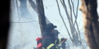 თეთრიწყაროში ხანძარს მესამე დღეა ებრძვიან