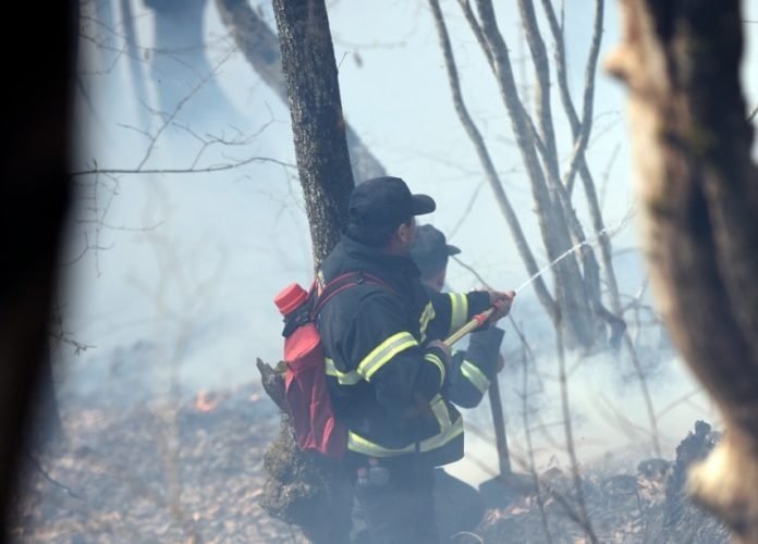 88420535_2257578754546344_5870863167101337600_o