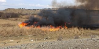 ხანძარი რუსთავში-ცეცხლი ბალახს უკიდია(+ფოტო)