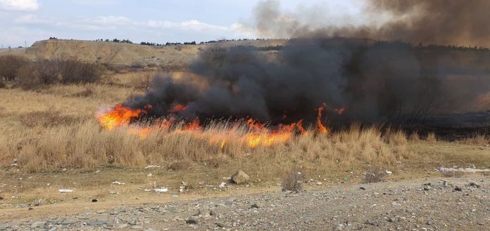 89116082_2276216362672901_2723925811684966400_n