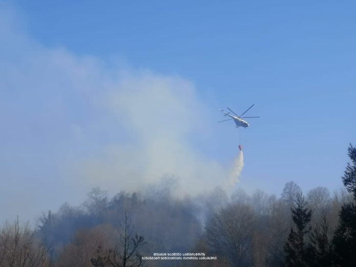 89822280_2257299671240919_3110114156951371776_o