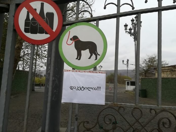 91025619_287930518862852_8676399537868242944_n