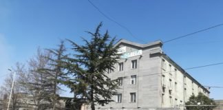 საწარმო “ჯეოსთილმა” თანამშრომლების ნაწილი უხელფასო შვებულებაში გაუშვა