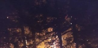 სოფელ ვაკიჯვართან გაჩენილ ხანძარს 100-მდე მეხანძრე-მაშველი აქრობს