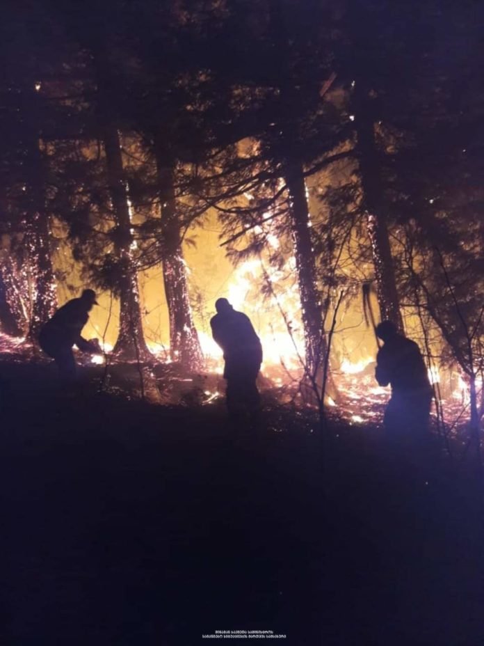 FB_IMG_1583692764723