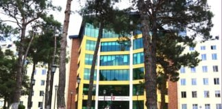 კორონავირუსით ინფიცირებული სასულიერო პირი ბოჭორიშვილის კლინიკაშია მოთავსებული